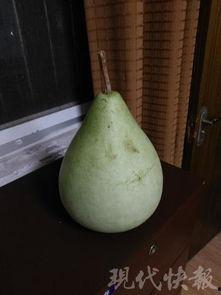 盐城今日吃瓜